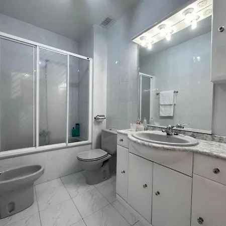 Betula Pendula - 12601 * Ajo