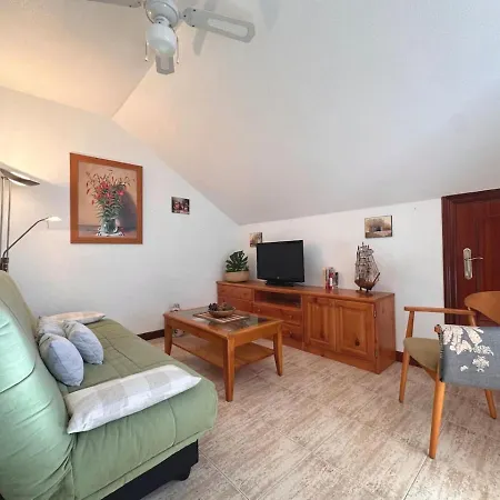 Betula Pendula - 12601 *