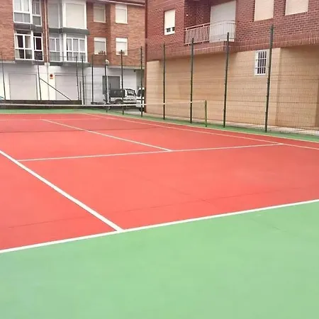 Betula Pendula - 12601 * Ajo