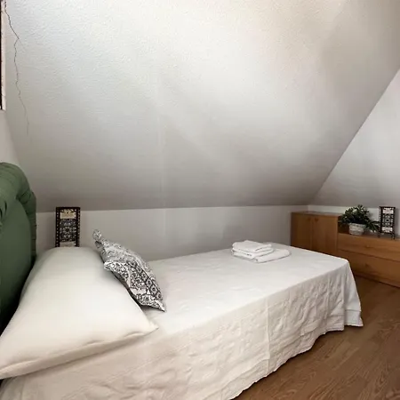 Betula Pendula - 12601 * Ajo