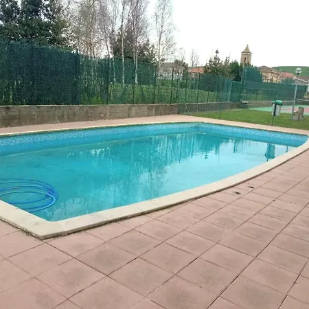 Betula Pendula - 12601