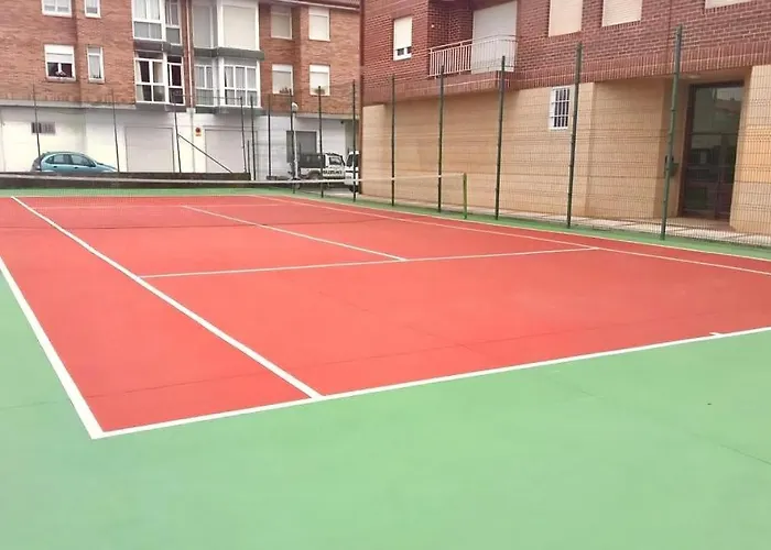 Betula Pendula - 12601 * Ajo