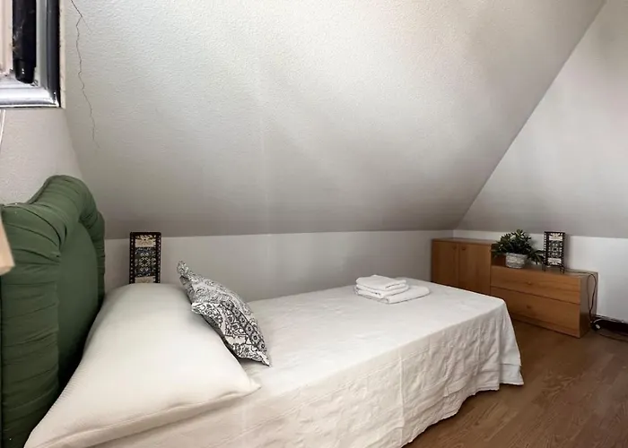 Betula Pendula - 12601 * Ajo