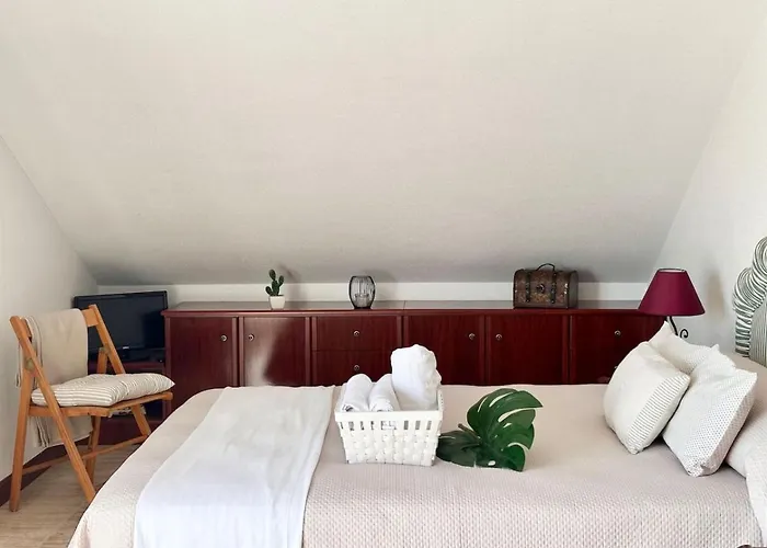 Betula Pendula - 12601 *