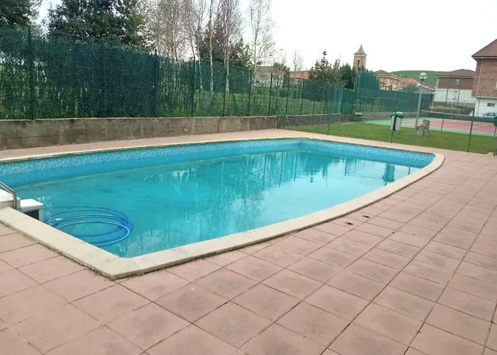 Betula Pendula - 12601