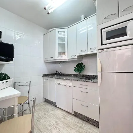 Betula Pendula - 12601 Apartment Ajo