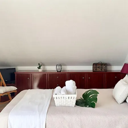 Betula Pendula - 12601 *