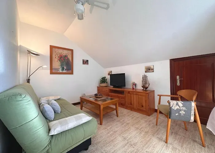 Betula Pendula - 12601 *